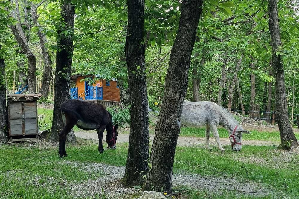 Foto 7 von 16: Roulotte Bleuet, in einer natürlichen Umgebung