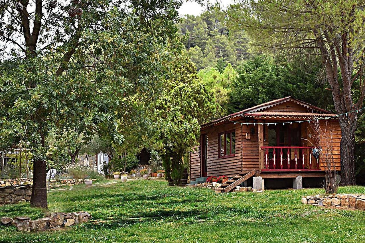 La Buissoniére 1