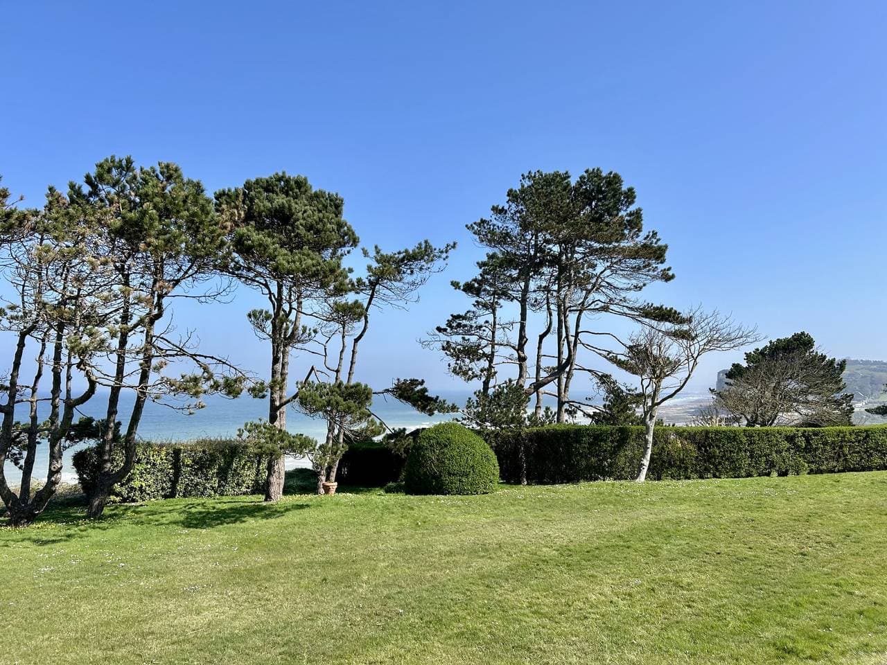 Foto 4 von 34: Nid des falaises
