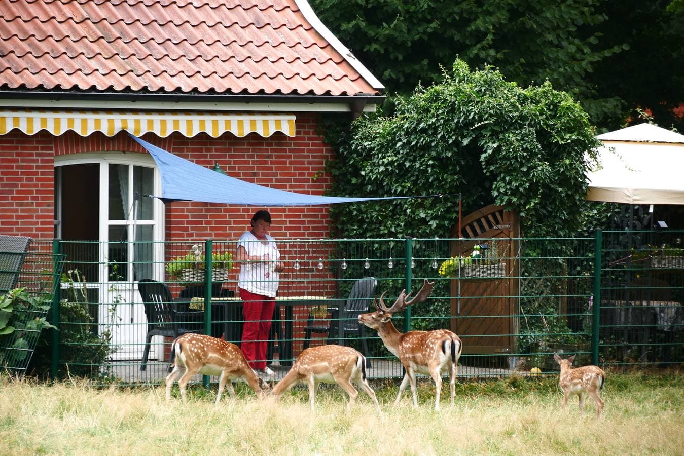 Foto 10 von 16: Ferienhaus "Zur Alten Fähre"