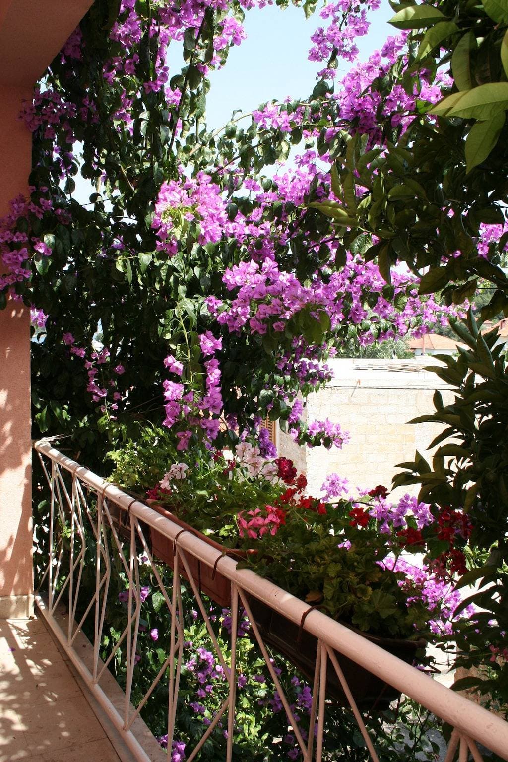 Foto 9 von 19: Zimmer mit Terrasse Vrboska, Hvar S-4600-b
