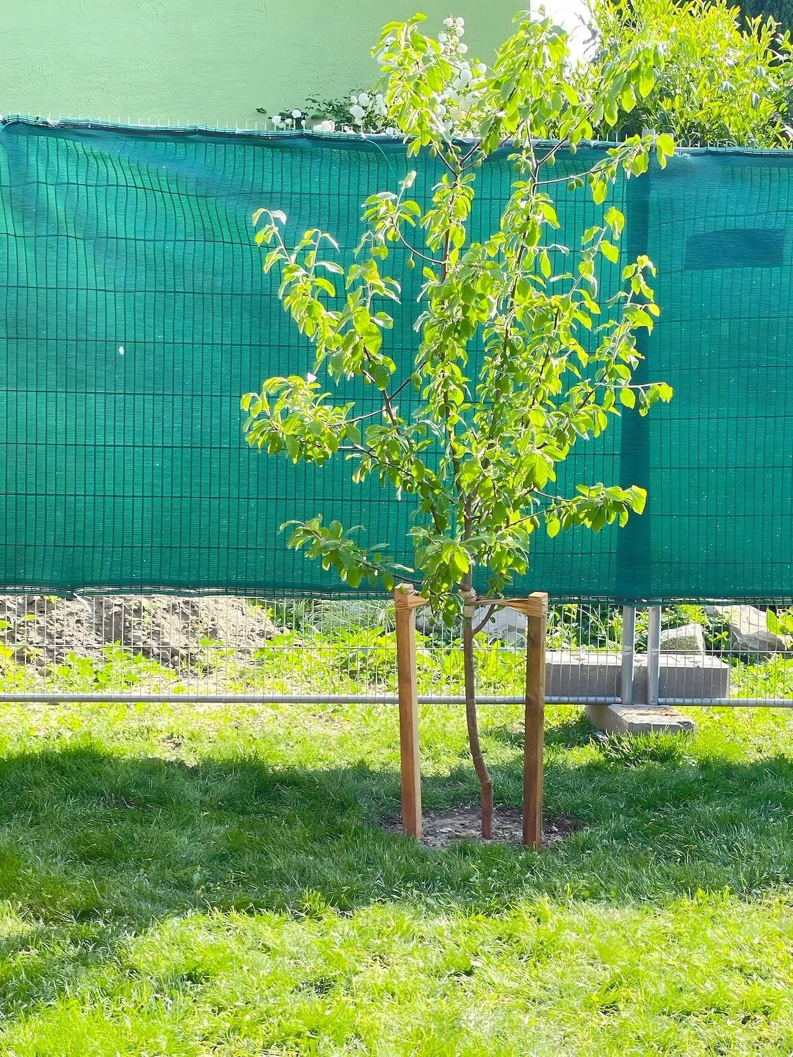 Foto 8 von 10: Ferienhaus 'Klitzeklein' mit privatem Garten