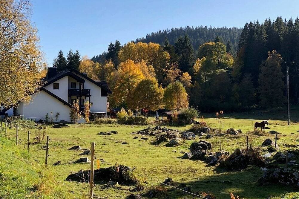 Foto 6 von 28: Ferienwohnung/App. für 2 Gäste mit 30m² in Schluchsee
