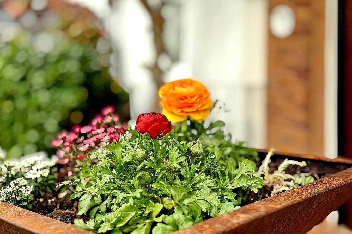 Foto 6 von 33: Ferienwohnung 2 Marschall mit Gemeinschaftsgarten, Balkon und WLAN