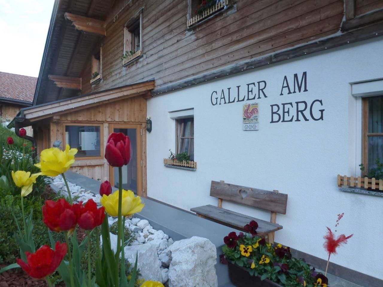 Galler am Berg 1