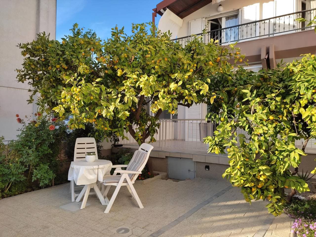 Foto 9 von 21: Apartments Neve Beachfront