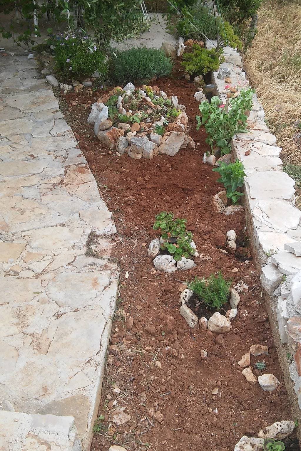 Foto 8 von 18: 1-Zimmer-Ferienwohnung am Strand Bucht Skozanje, Hvar A-14899-b