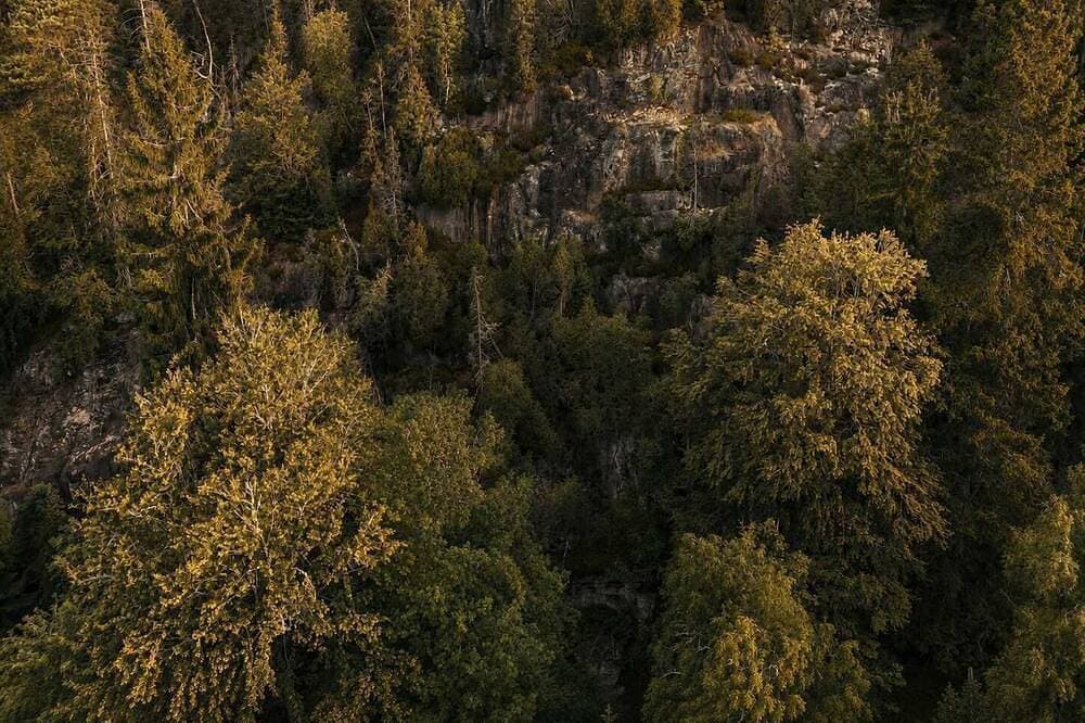 Foto 11 von 20: The Cliff | 10ha Private Lakeside Estate