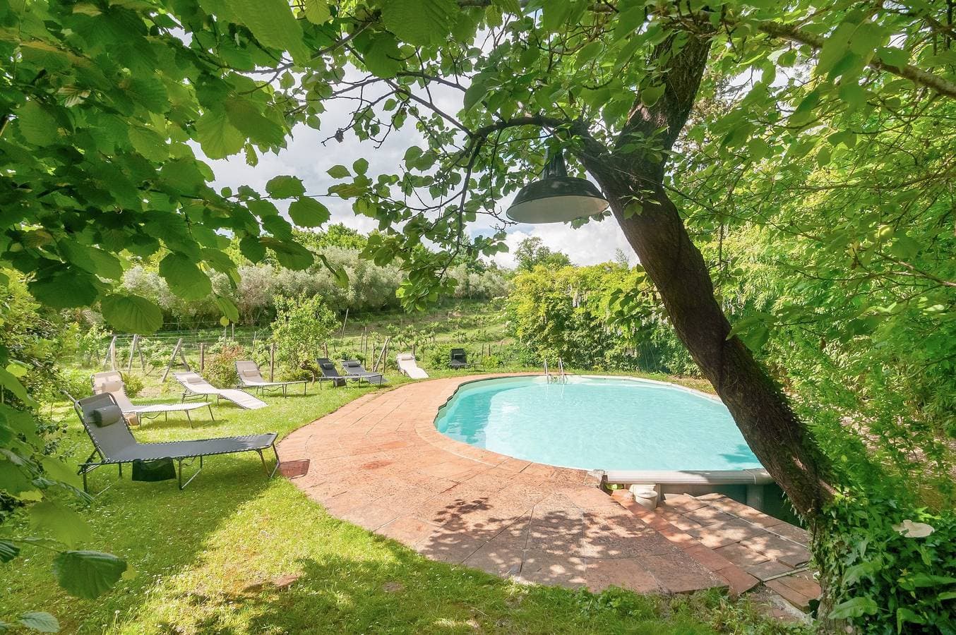Molino In Chianti 1