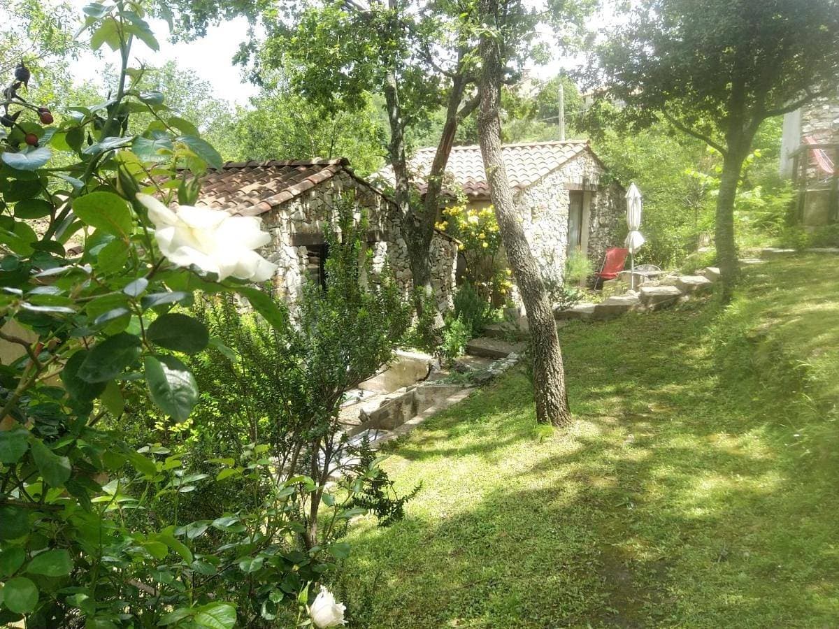 Foto 2 von 12: Family Studio