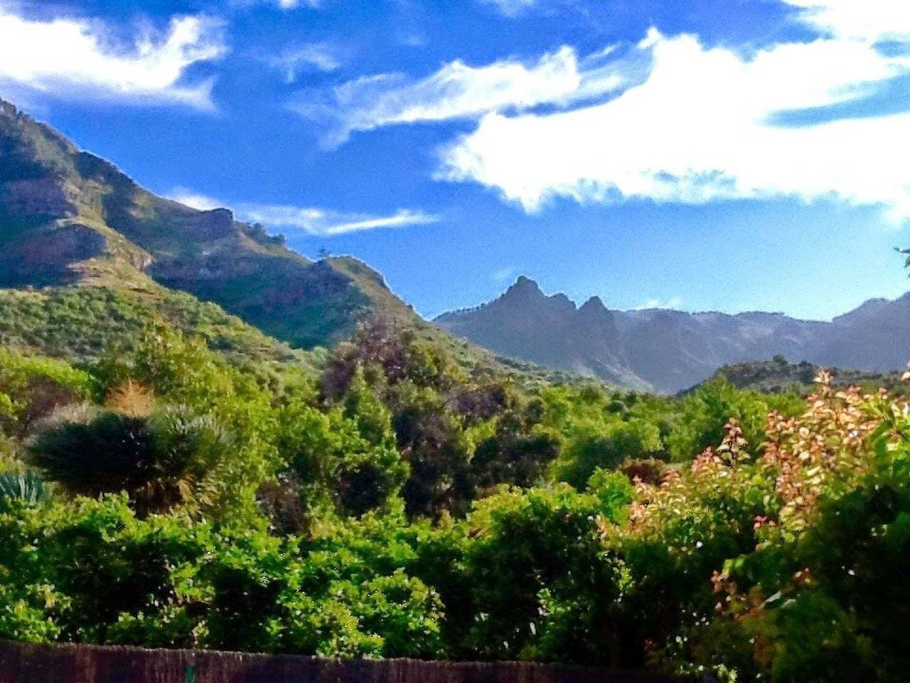 Foto 7 von 49: Finca mit Garten, Grill und Terrasse
