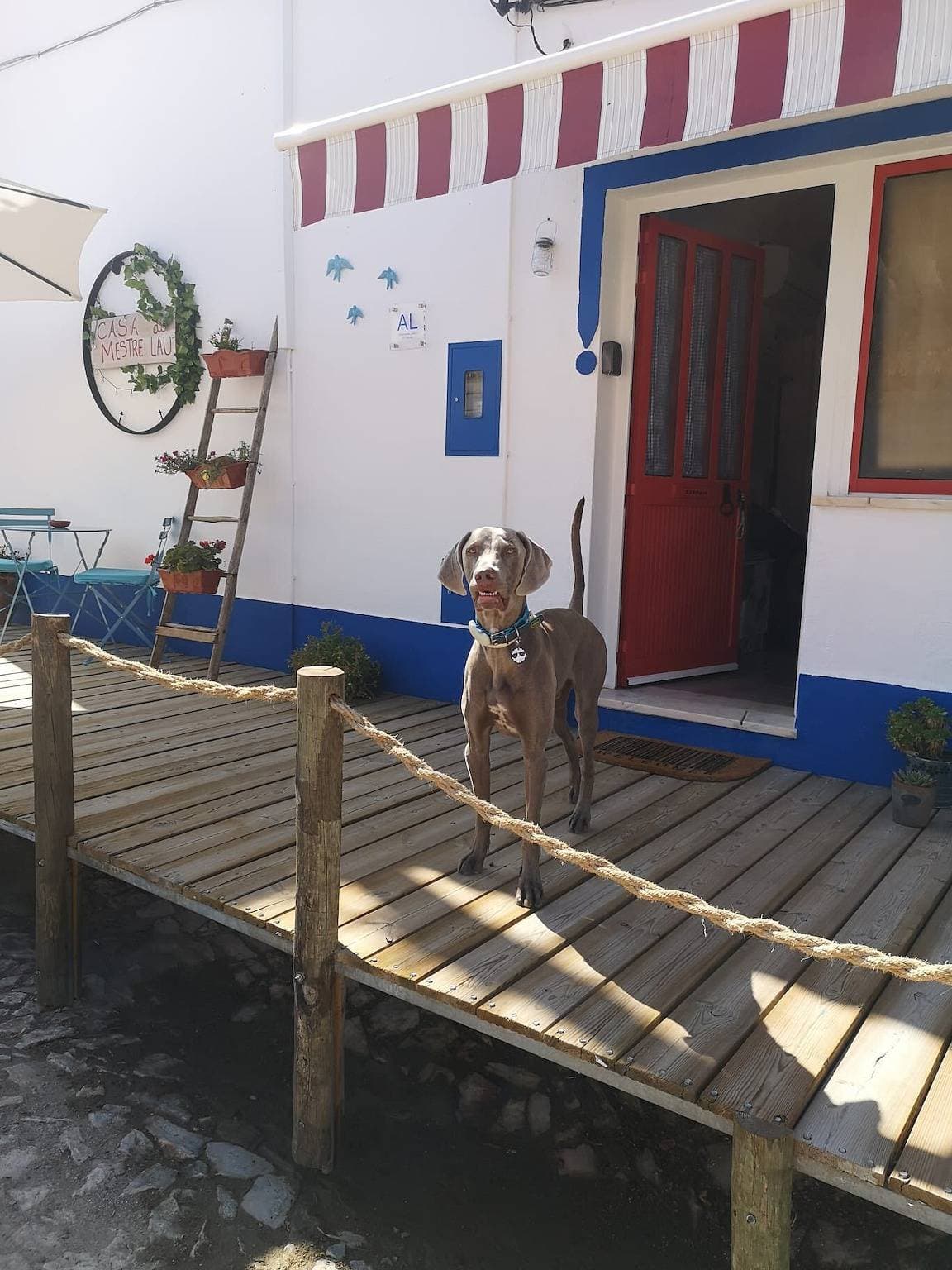 Foto 5 von 33: Casa Do Mestre Lau – Im Herzen des Alentejo