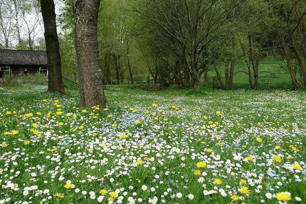 Foto 9 von 30: Großer Garten, in den Bergen, auf dem Land, idyllische Lage, Haust. willkommen