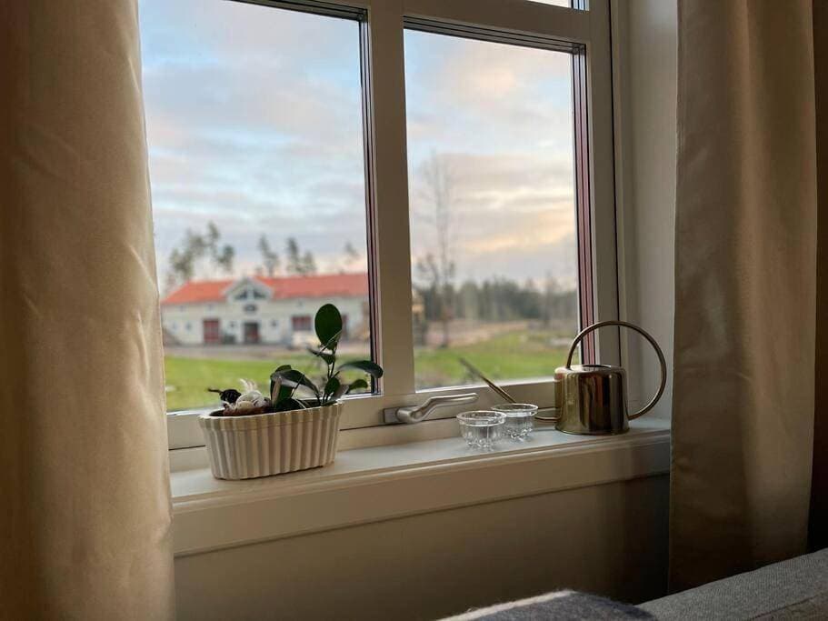 Foto 4 von 24: Apartment