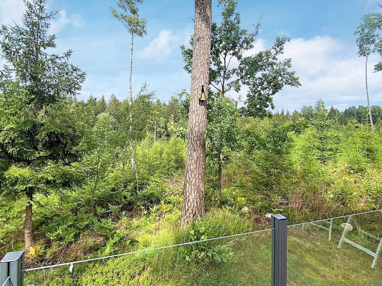 Foto 3 von 41: 5 Personen Ferienhaus in Tenhult/Jönköping