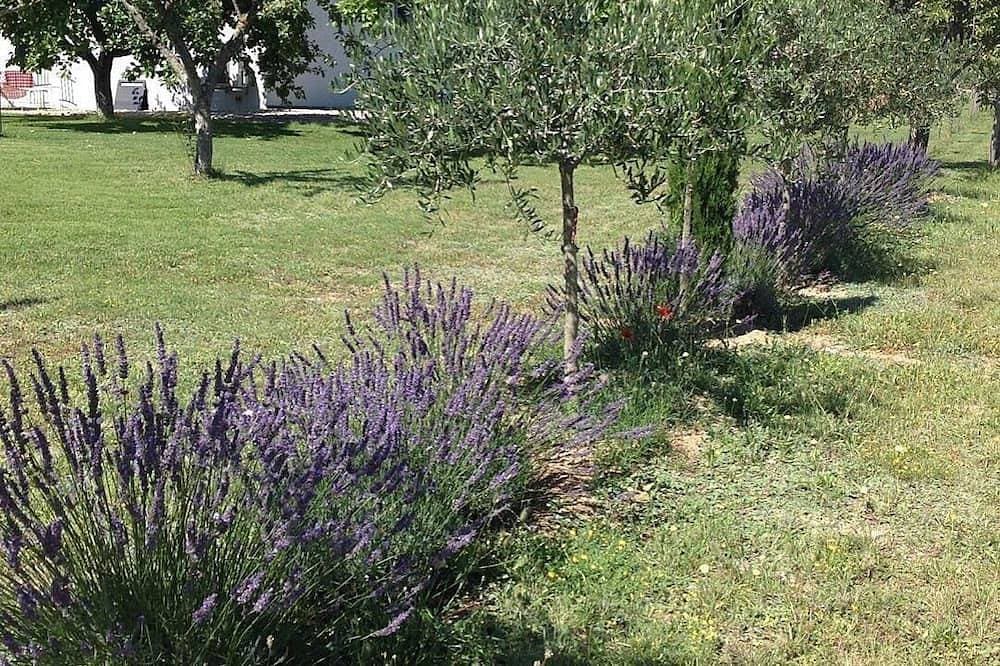 Foto 12 von 30: Chez elles en Provence Au temps des Cerises