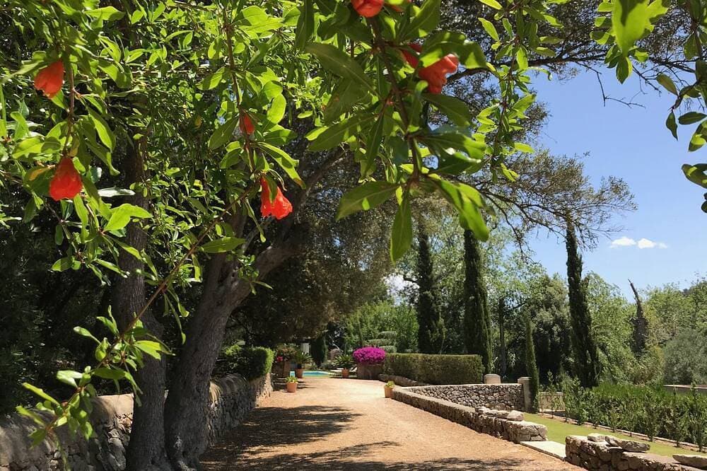 Foto 11 von 30: *Premium Propert * Schöne Finca mit spektakulärer Aussicht und beheiztem Pool