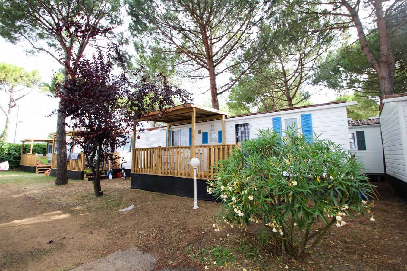 Foto 8 von 42: Mobilehome mit Klimaanlage, Terrasse und Pool