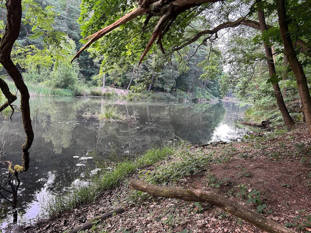 Foto 6 von 24: Dein unkomplizierter Rückzugsort für zwei Personen – direkt am Silbersee bei Coswig (Anhalt).