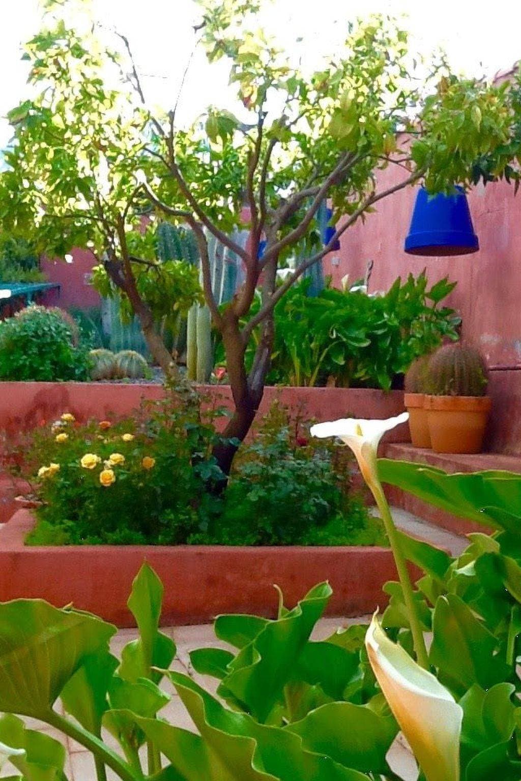 Foto 5 von 49: Finca mit Garten, Grill und Terrasse