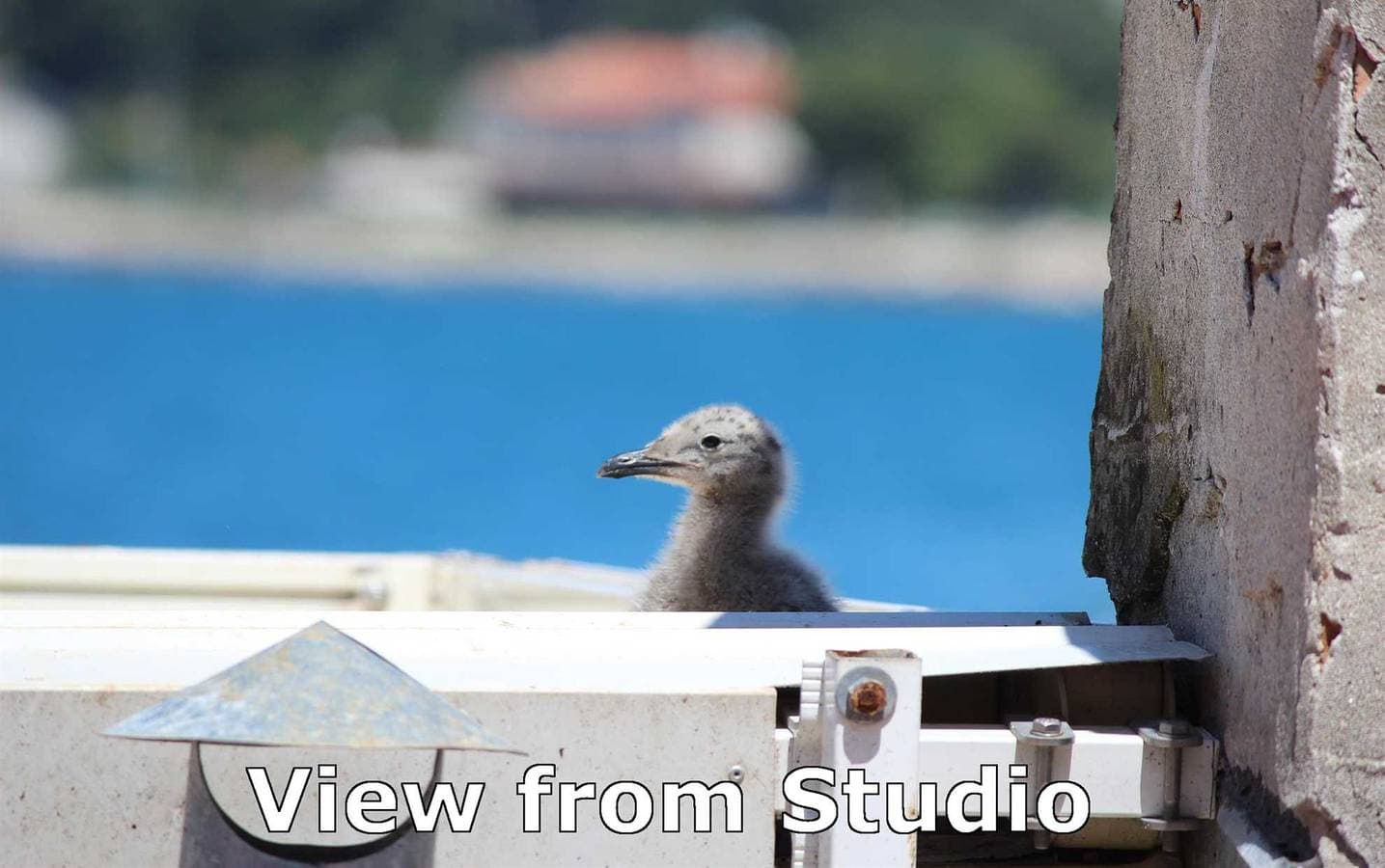 Foto 4 von 24: Milkana Studiowohnung mit Meerblick