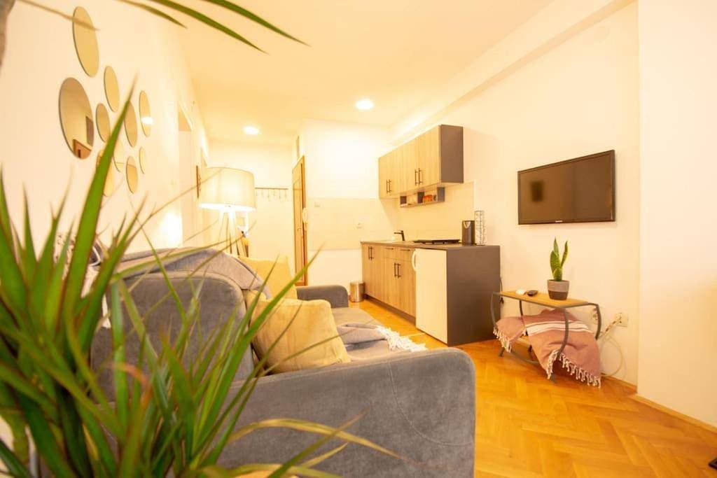 Yellow Circles Apt. on great location NEW 1