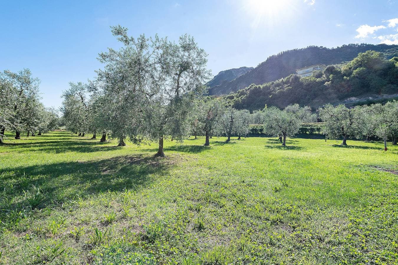 Foto 5 von 28: Apartment „Primula“ mit Seeblick, WLAN und Klimaanlage