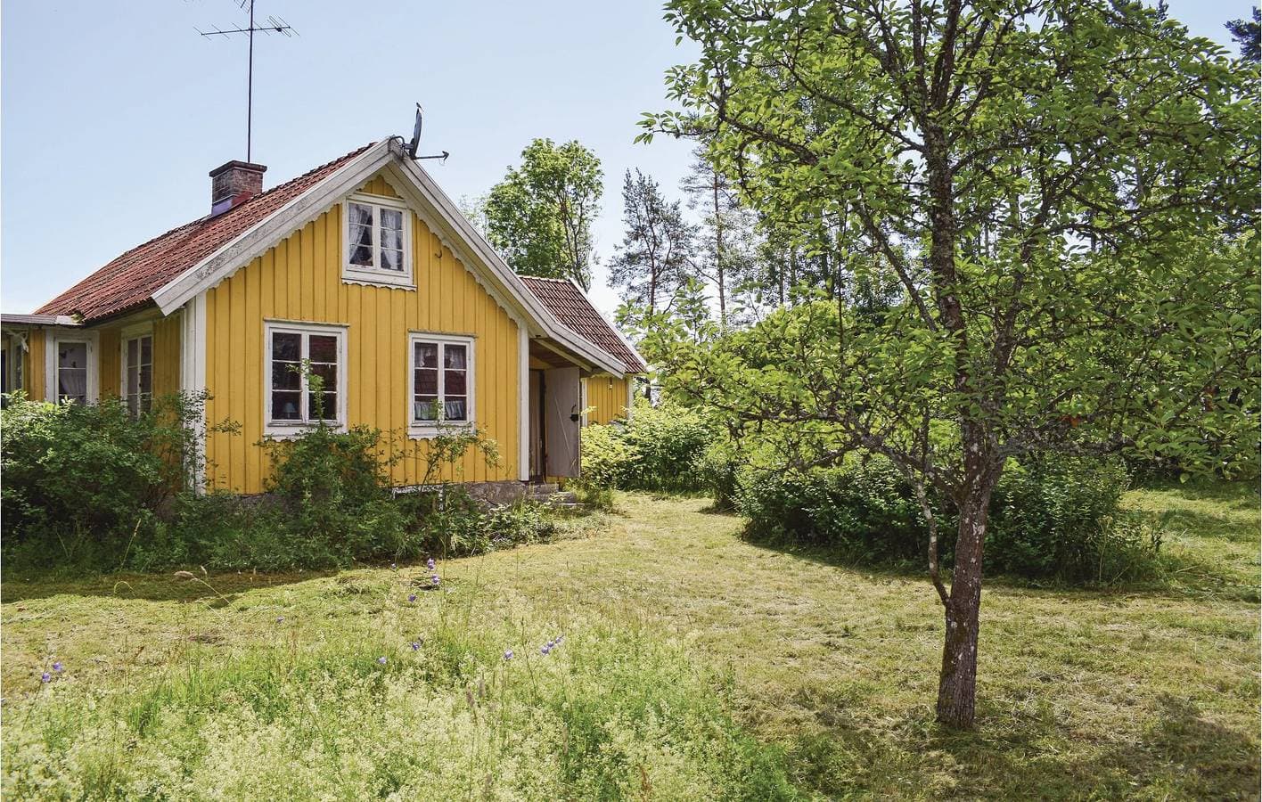 Ferienhaus 50m² 1