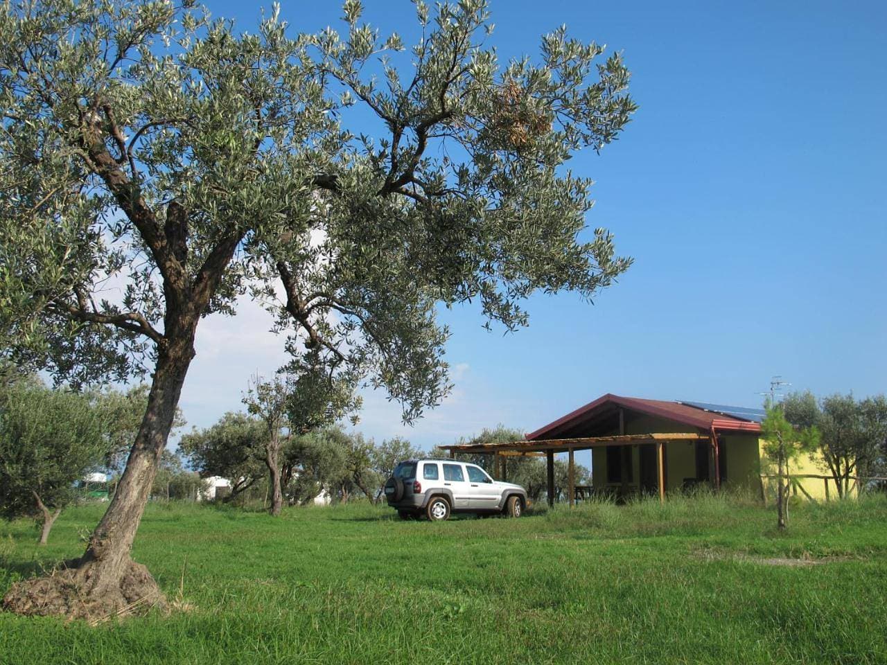 Foto 13 von 24: Holiday Home