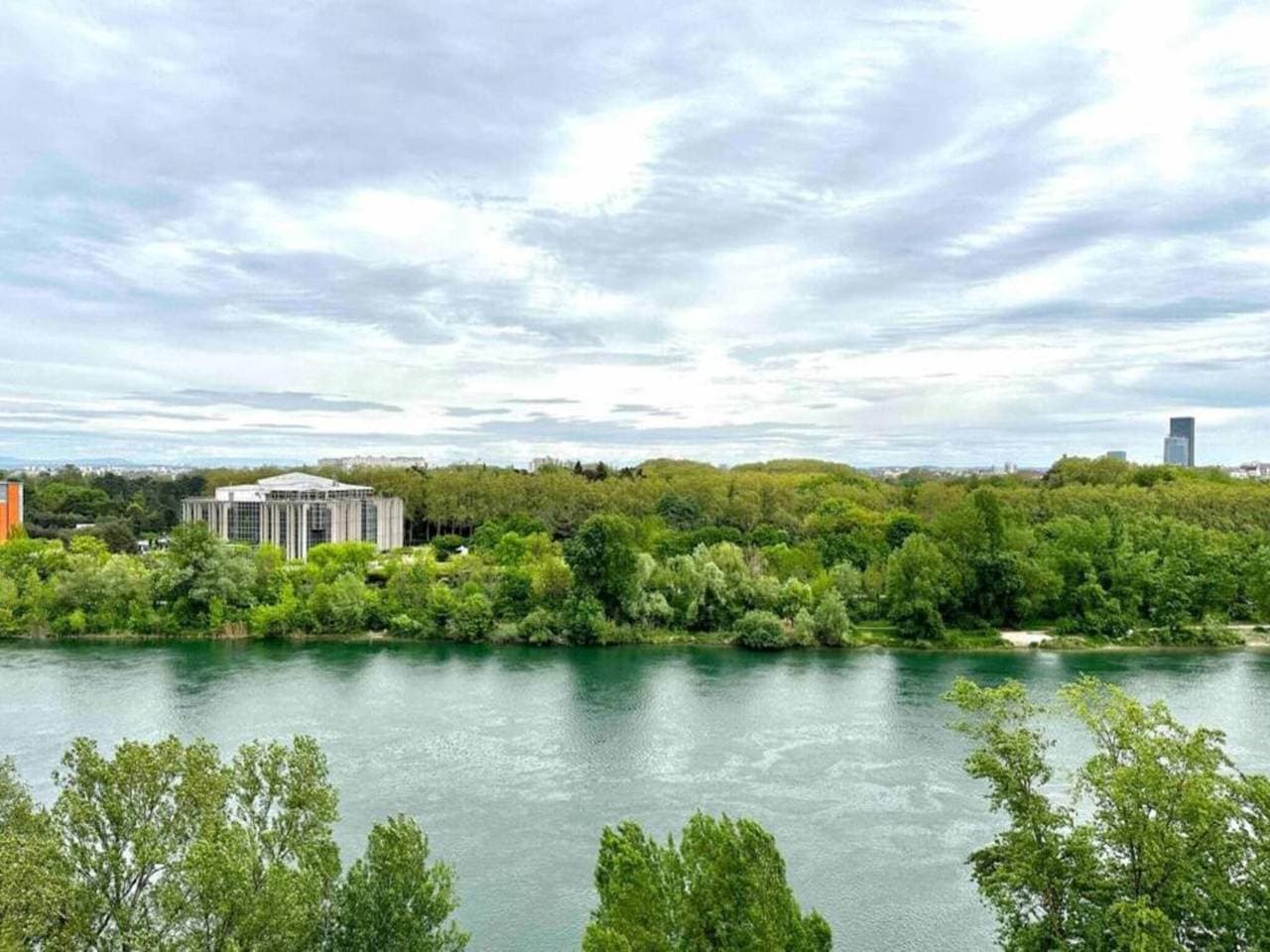Foto 10 von 30: Dify Wilson - Villeurbanne