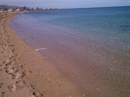 Foto 12 von 148: Holiday Home