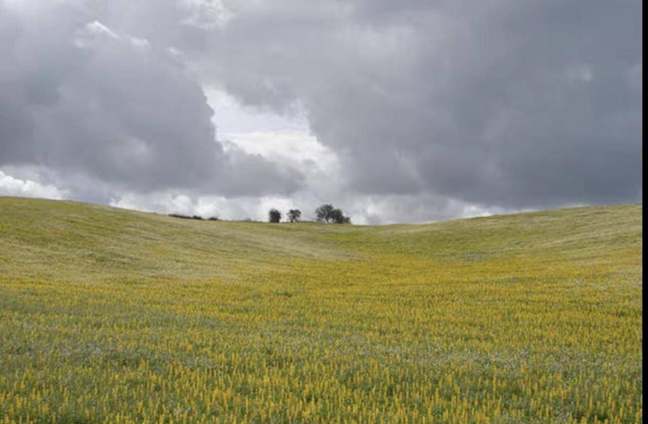Monte das Doceitas 1