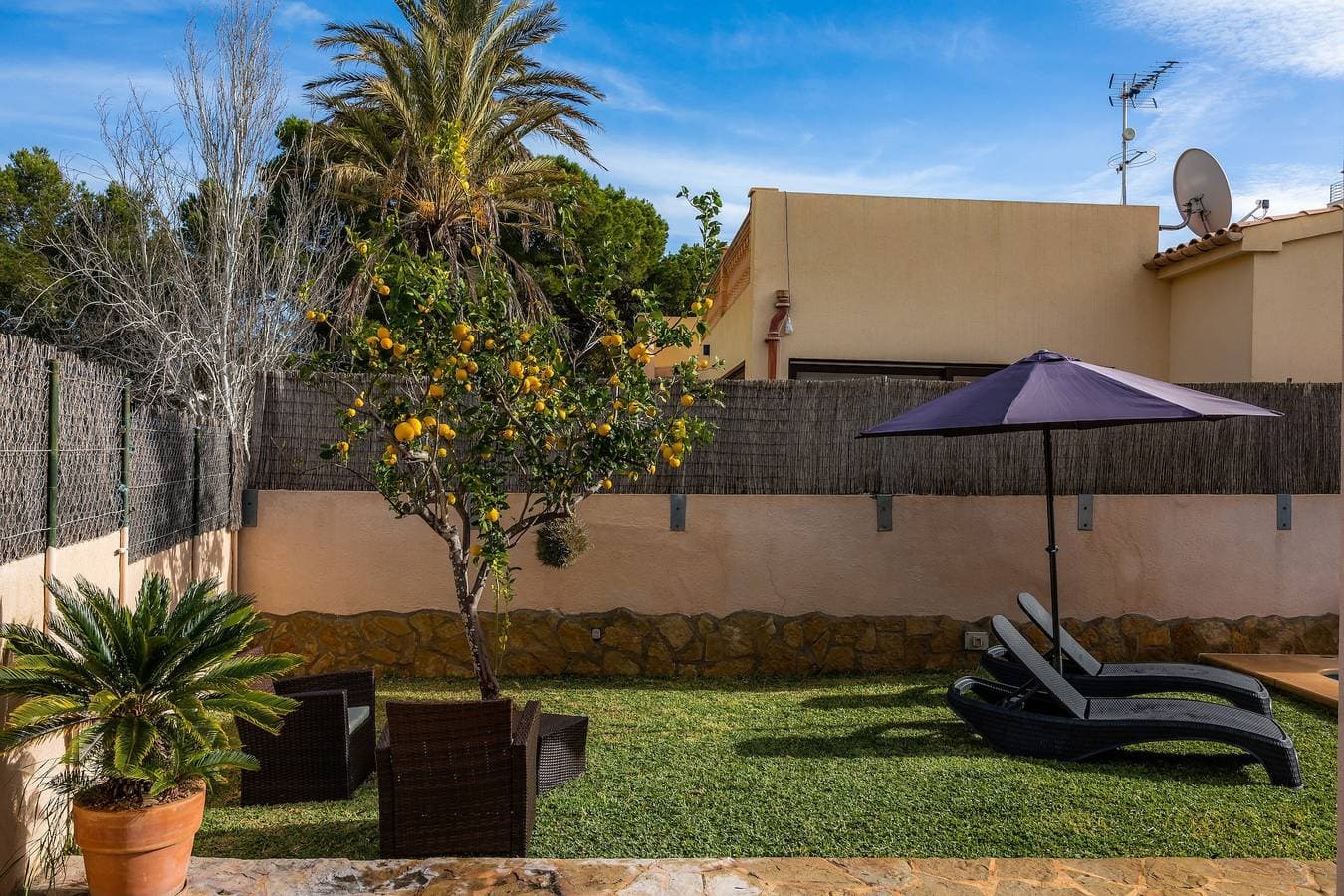 Foto 4 von 25: Typisch mallorquinisches Stadthaus mit Pool – Casa Manolo