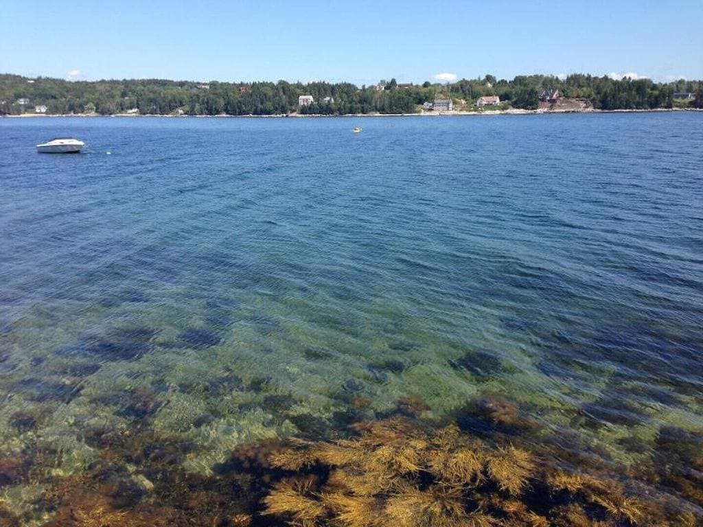 Foto 12 von 23: Cottage am Strand in der wunderschönen St. Margarets Bay