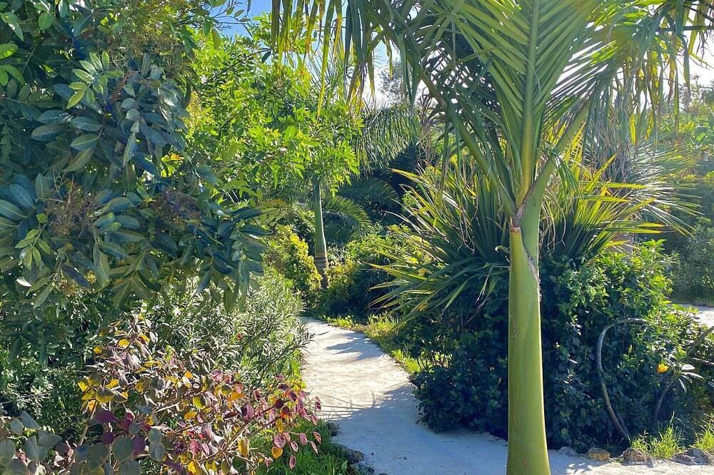 Foto 13 von 30: Finca Badana Exklusives kanarisches Haus mit herrlichem Blick