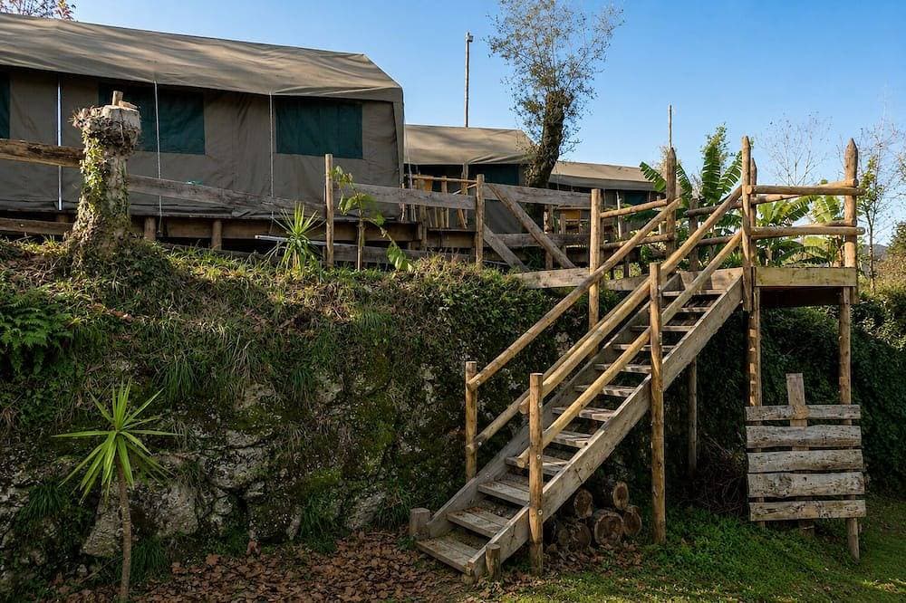 Foto 6 von 19: Safari Glamping Portugal Whale