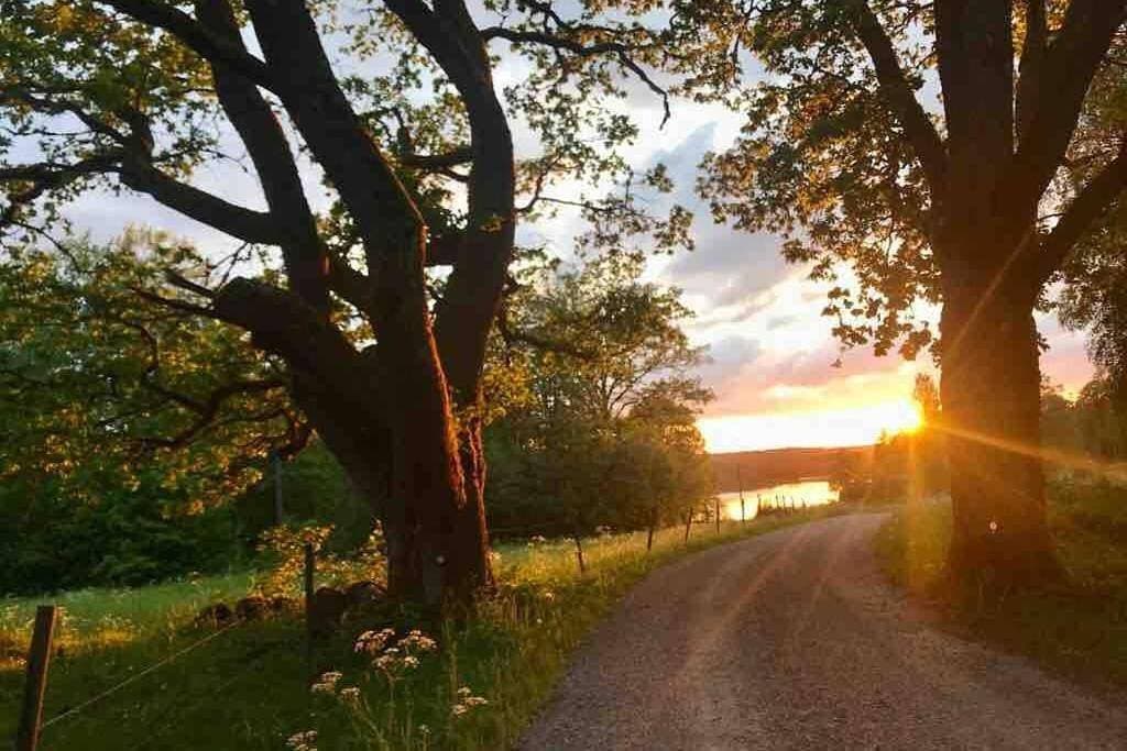 Sommarstugan 1