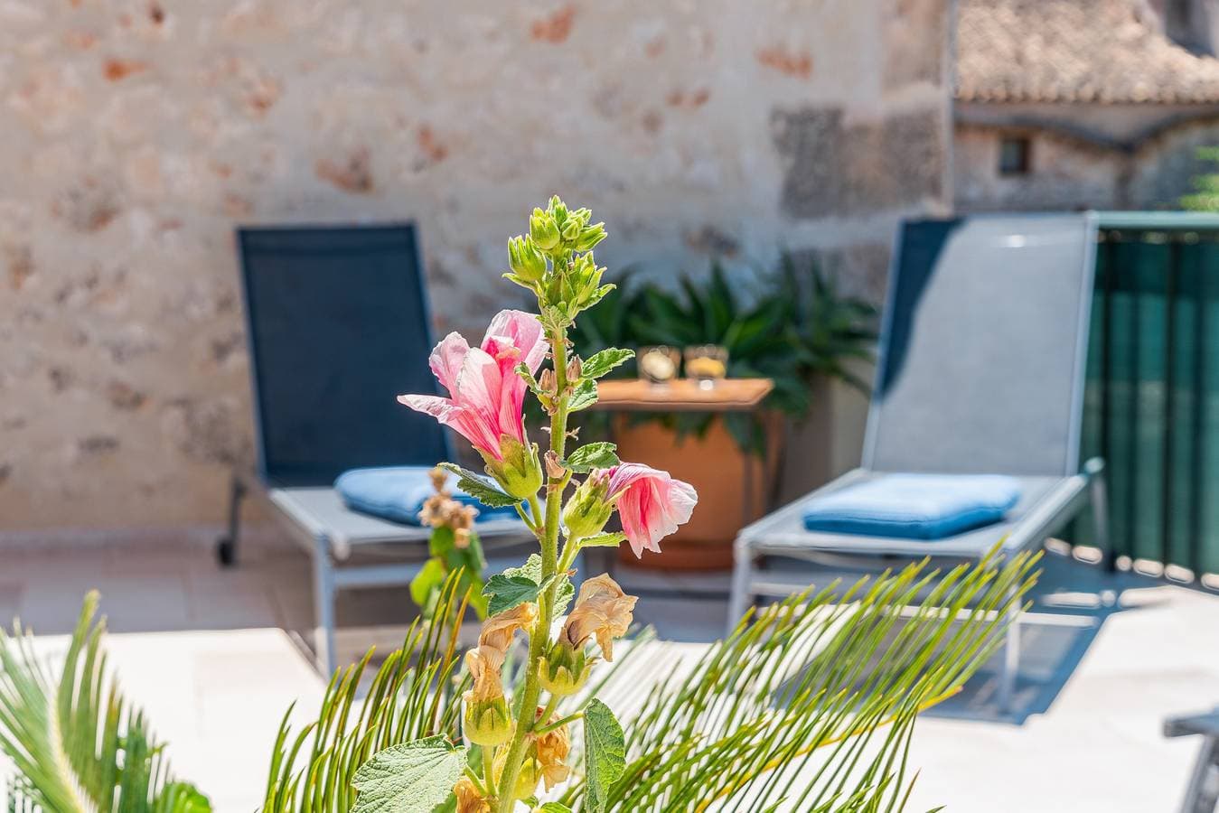 Foto 4 von 25: Ferienhaus Casa en Sineu mit Bergblick, Terrasse und WLAN