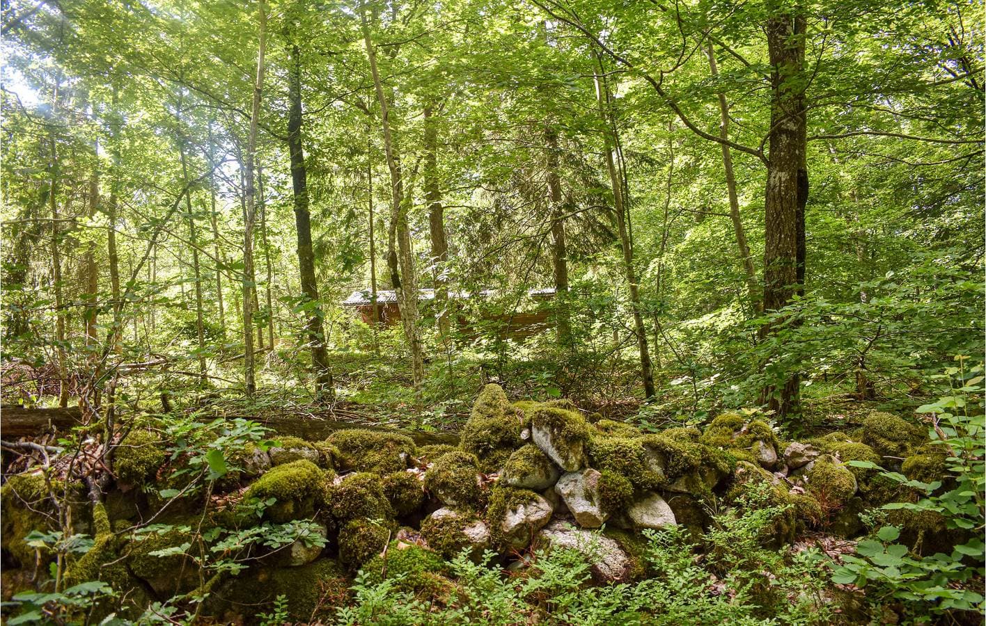 Foto 12 von 15: Ferienhaus für 4 Personen mit Garten