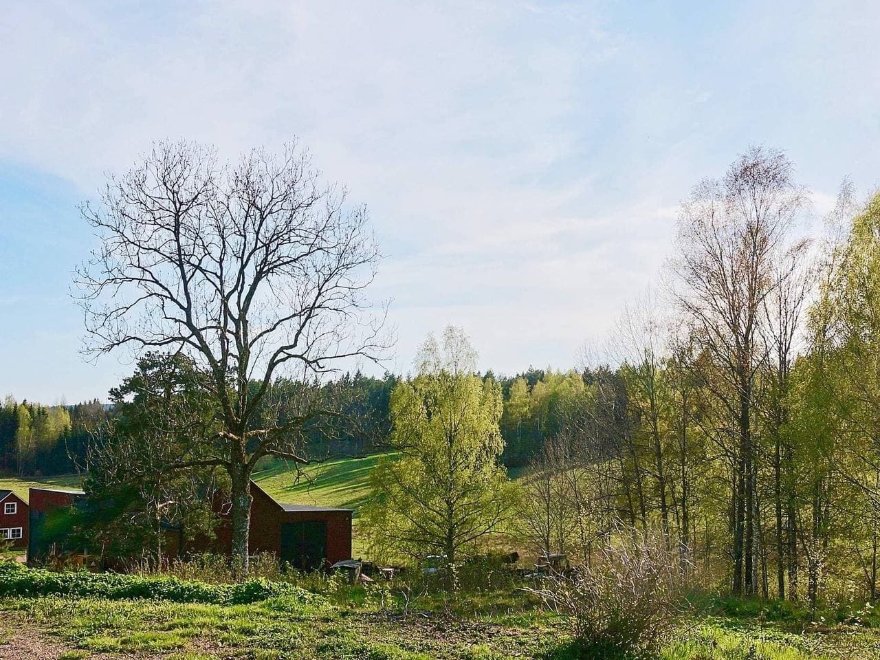 Foto 3 von 42: 4 Personen Ferienhaus auf Ulfborg
