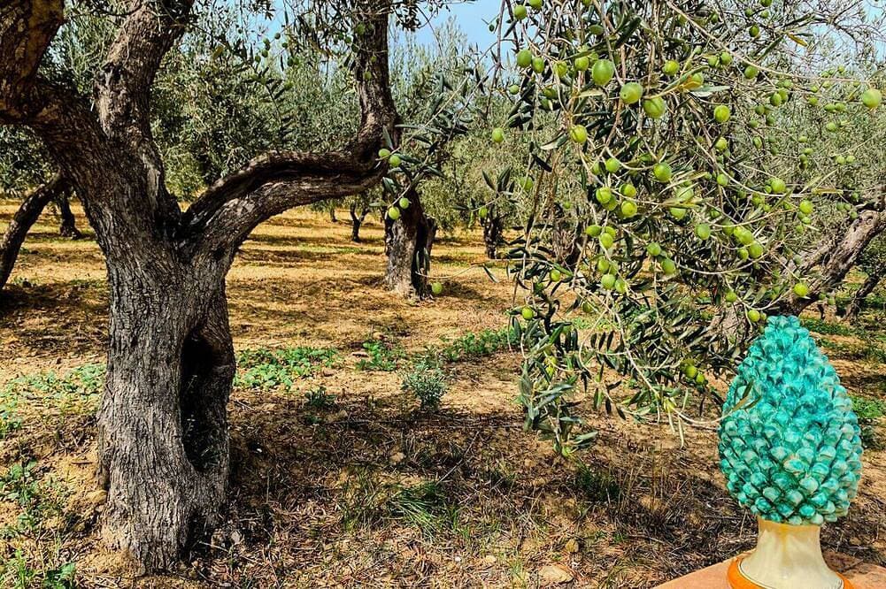 Tenuta Bartoli - Apartment Ulivo 1