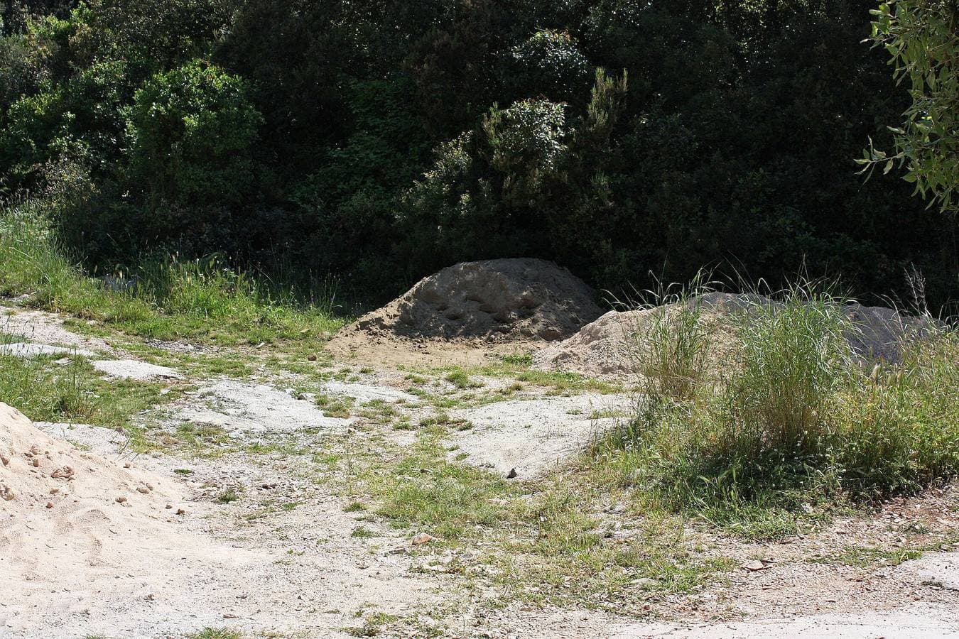 Foto 6 von 19: 2-Zimmer-Ferienwohnung am Strand Pomena (Mljet) A-10426-a