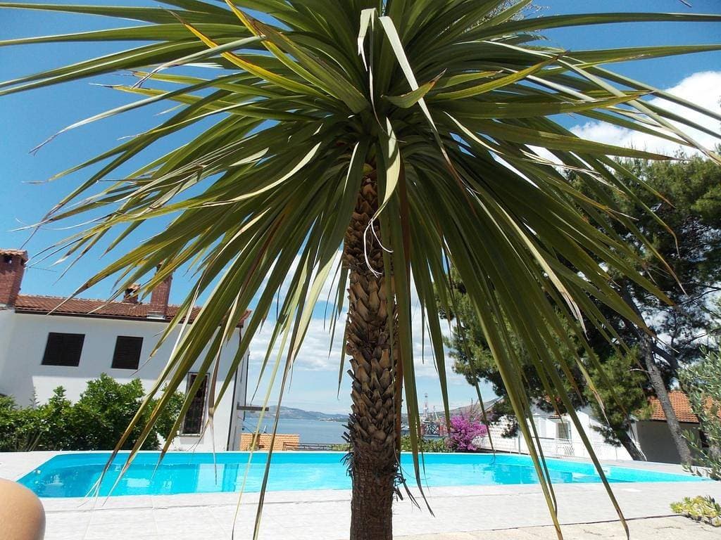 Ferienwohnung in Trogir mit Meerblick, Balkon, Klimaanlage, W-Lan (4236-3) 1