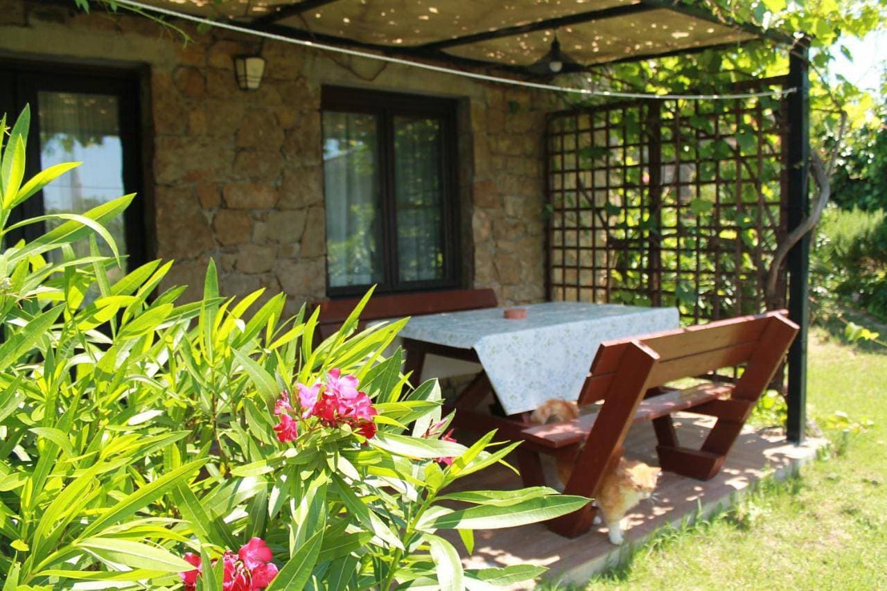 Foto 12 von 12: Triple Room with Terrace
