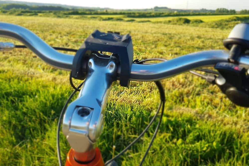 Foto 12 von 13: Erleben Sie eine Tour .....