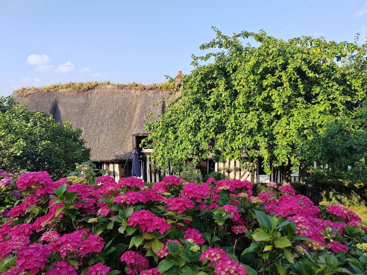 Foto 9 von 68: Holiday Home