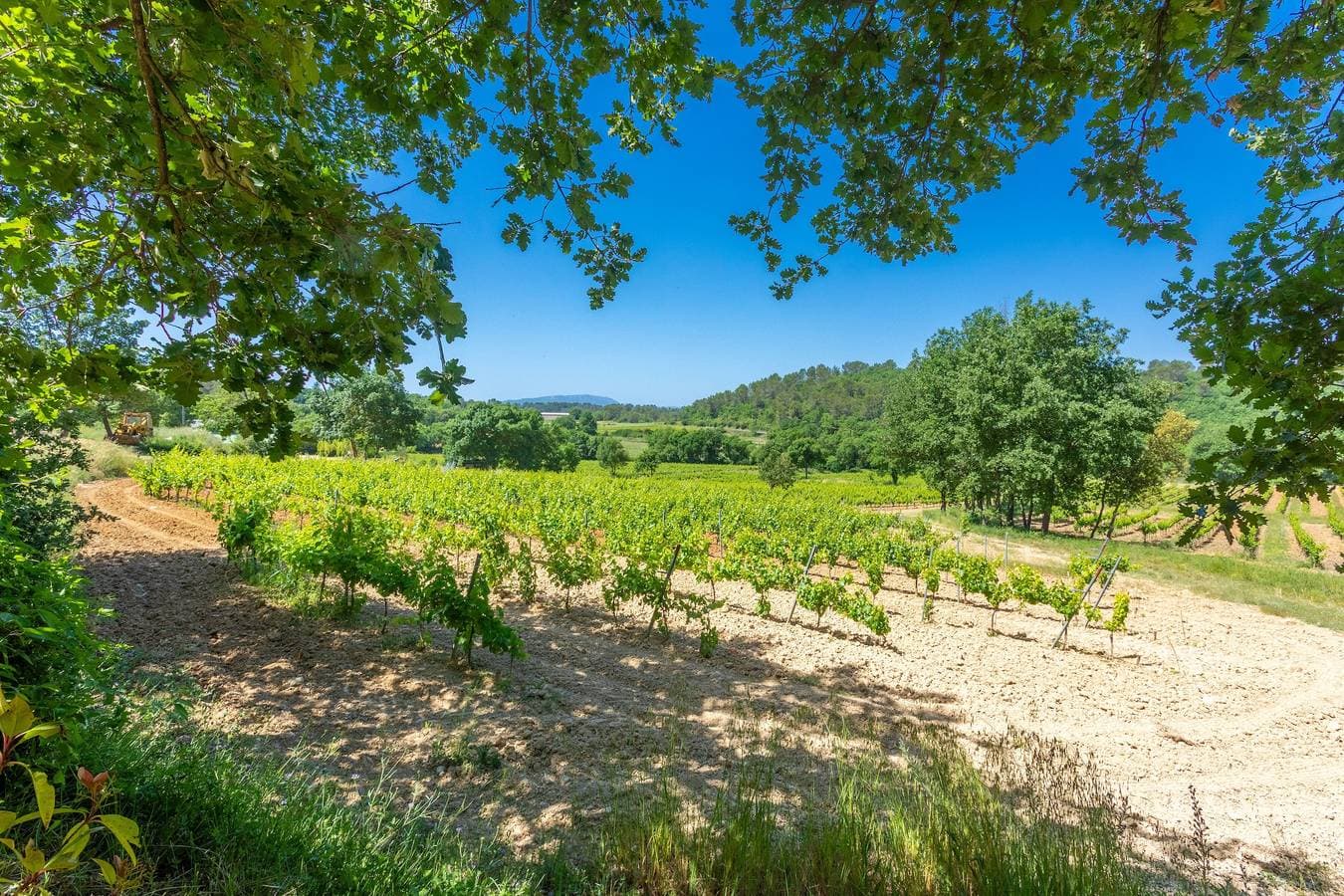 Foto 11 von 21: Ferienhaus 'Cabanon Provençal - Le Clos Madame' mit Gemeinschaftspool, WLAN & Klimaanlage