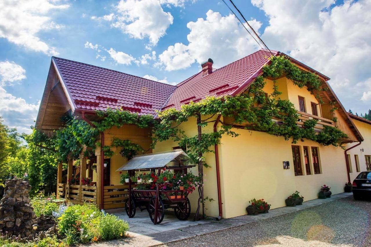 Casa Andreea 1