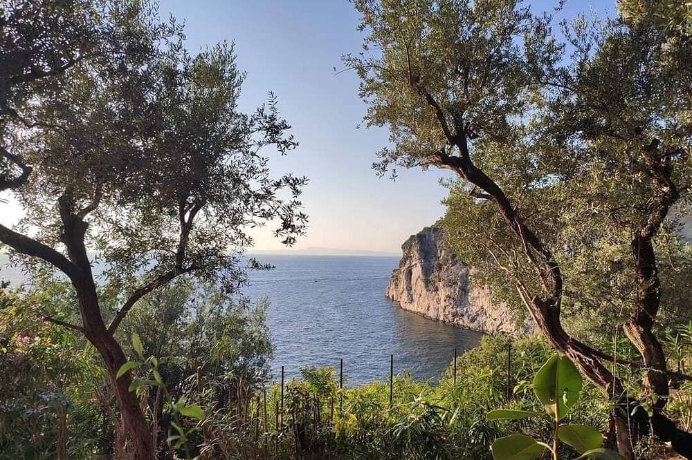 Foto 11 von 30: Villa Silvana-AmalfiCoast Panoramic villa  with large garden and swimmingpool