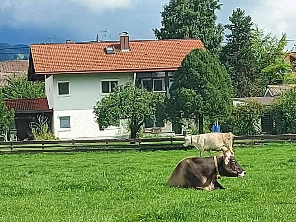 Foto 2 von 16: Monte Video, Wg Hubert, Eg